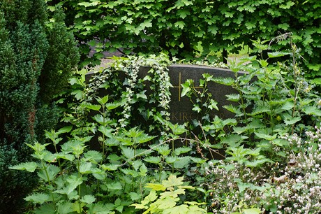 Bad Godesberg